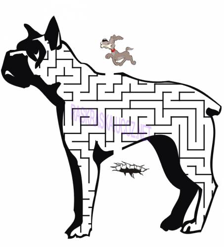 Открыть Bulldog-Maze