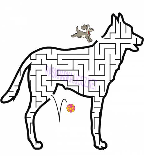 Открыть Dog-Maze