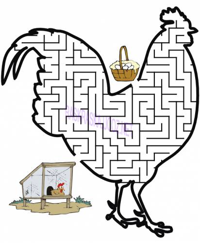 Открыть Chicken-Maze