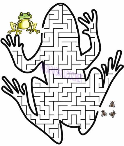 Открыть Frog-Maze