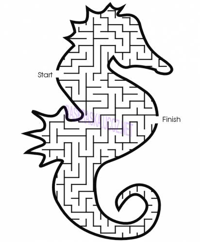 Открыть Seahorse-Maze