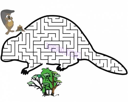 Открыть Beaver-Maze