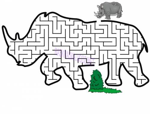 Открыть Rhino-Maze