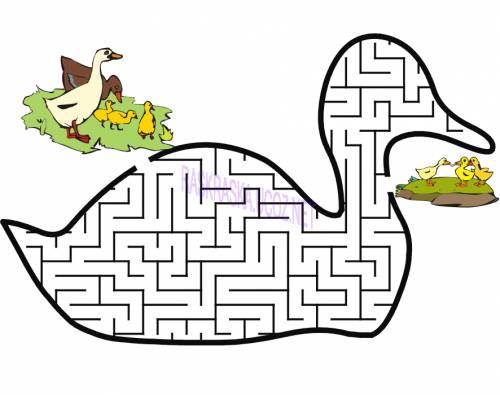 Открыть Duck-Maze